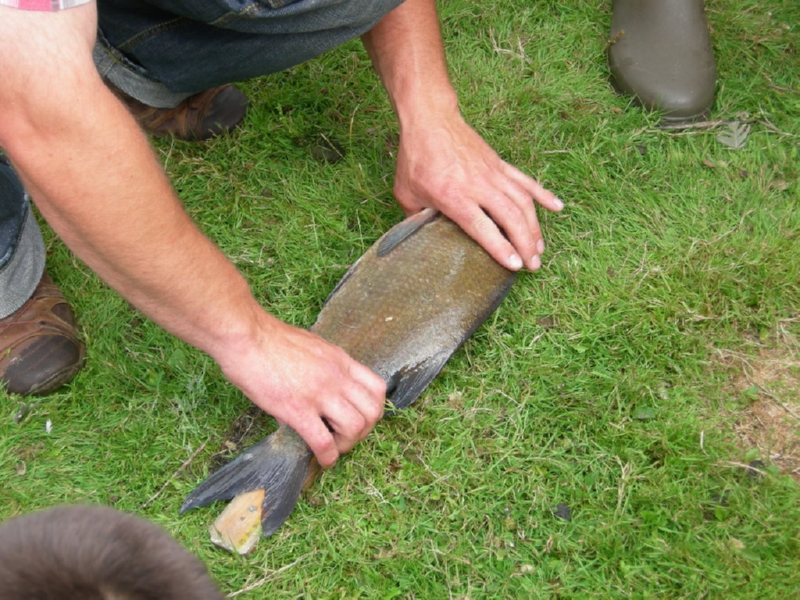 Lith 2008 (125)